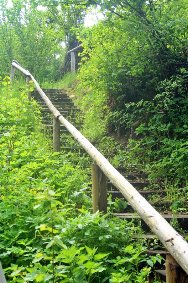 Homole D2 * Szczawnica
